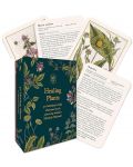 Healing Plants: A Botanical Card Deck (50 Cards and Booklet) - 3t